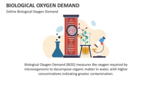 biological oxygen demand