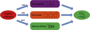 chemical oxygen demand